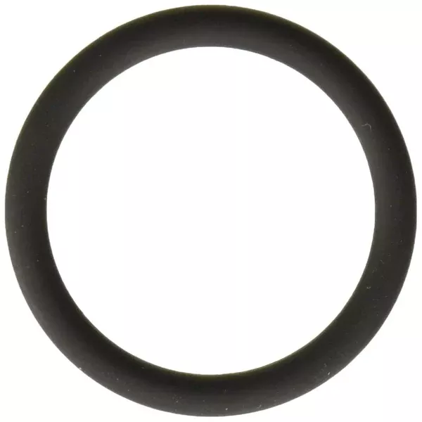 1 o-ring compatible with WS03X10028 Parts O-Ring