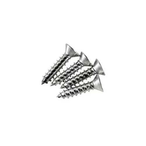 14203301R4 Jacuzzi inlet stainless steel screw