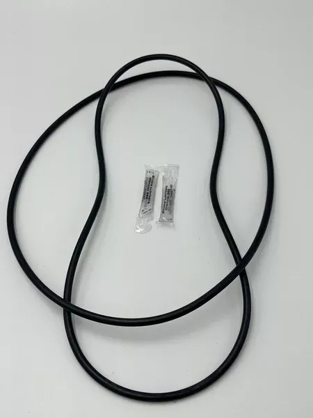 2 Backplate o-rings + 2 Lubes Compatible for R0446300 Jandy Plus HP PHPM & PHPF