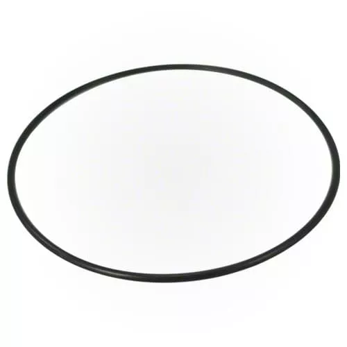 357255-Pentair Super Flo Lid O-Ring #2-357
