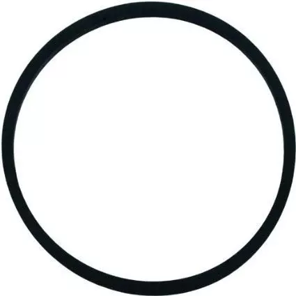 4 inch Tetraseal Lid Gasket compatible for Pentair 17150-0007