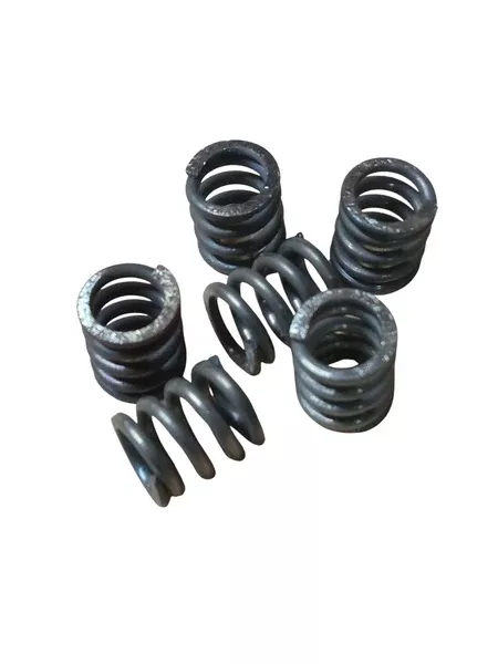 6 pack side seal springs compatible for 117491