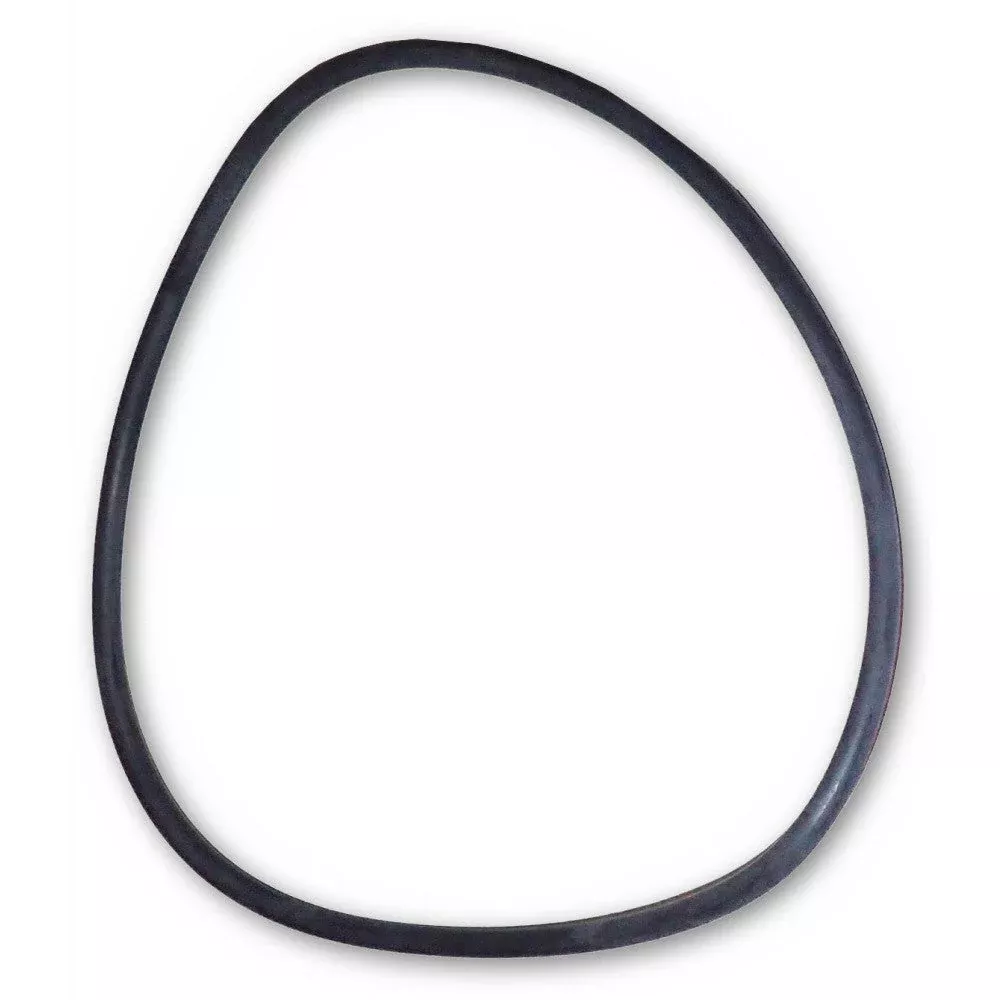 Cartridge Filter Lid O-Ring | Top Seal Gasket
