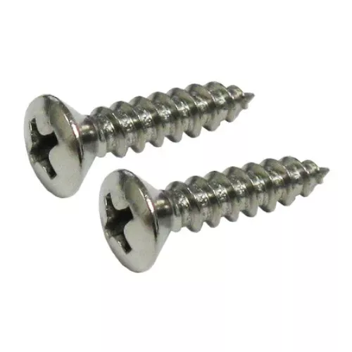 Carvin/Jacuzzi 316 Stainless Steel Screws (2-Pack) - Oval Phillips