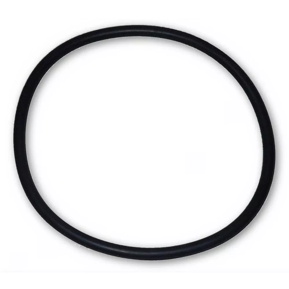 Flange O-Ring Only | Small Sand Filter | Seal Replacement