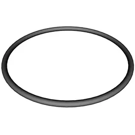 Hayward Micro Star Clear Filter Body O Ring