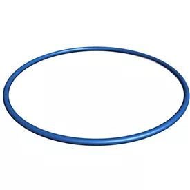 Hayward Pro Series Multiport Valve O Ring