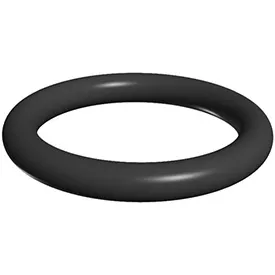 Hayward Pro Series O Ring SX200Z5