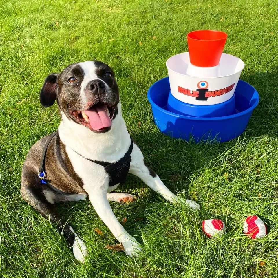 Patriotic BulziBucket Floating Game