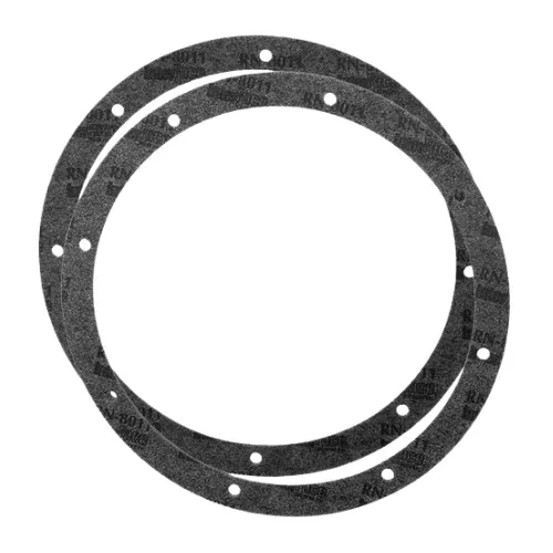 Pentair 10 Hole Pattern Gasket Set - with Double Wall Gasket (2-Pack)