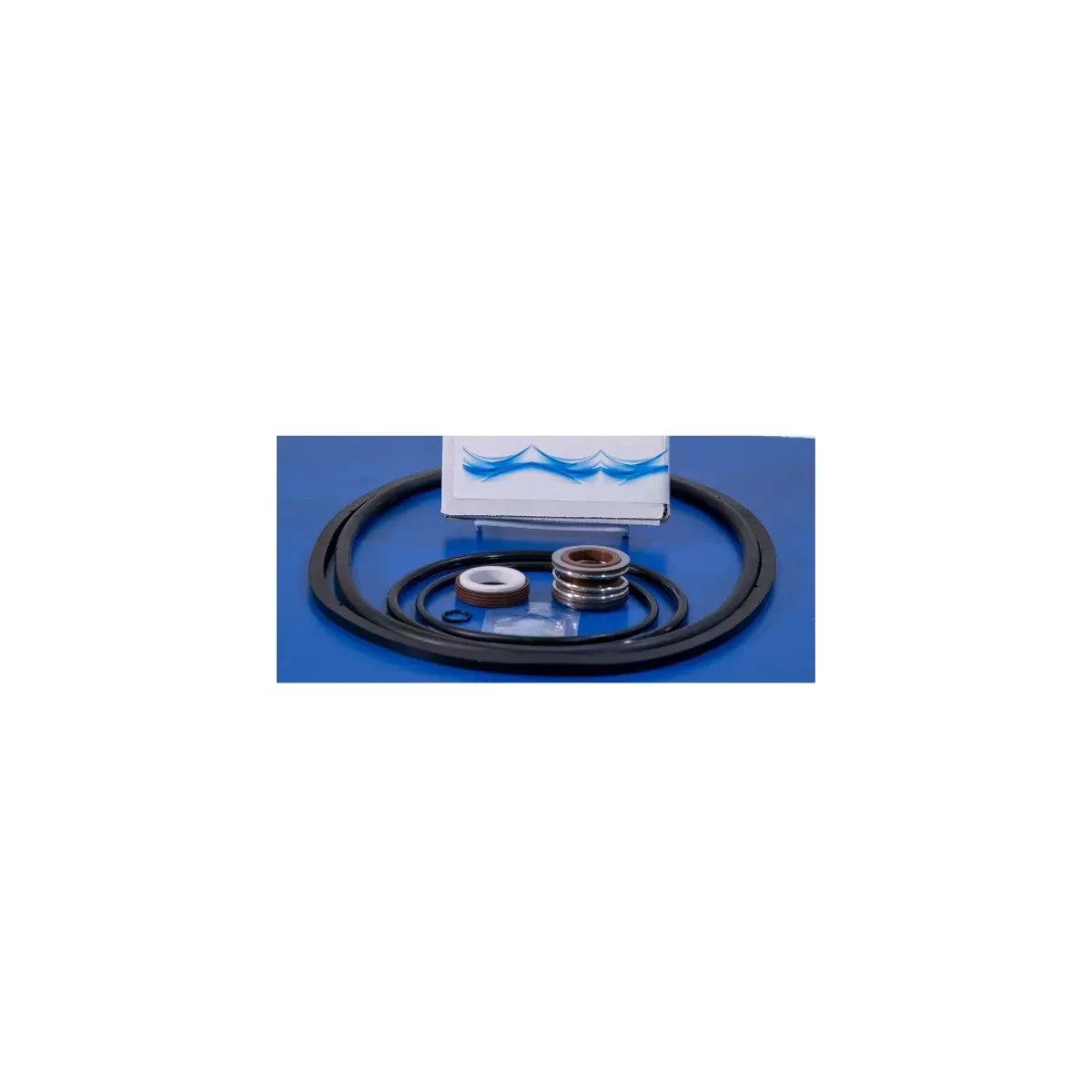 Pentair EQ Series Seal Kit GO-KIT1001C