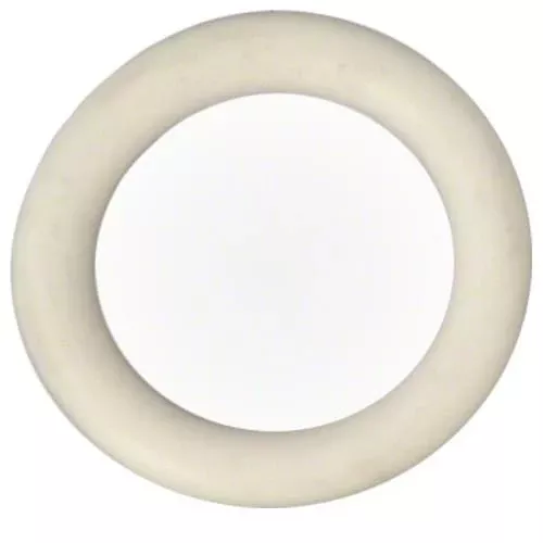 Pentair O-Ring for Drain Plug - For Pumps and Filters