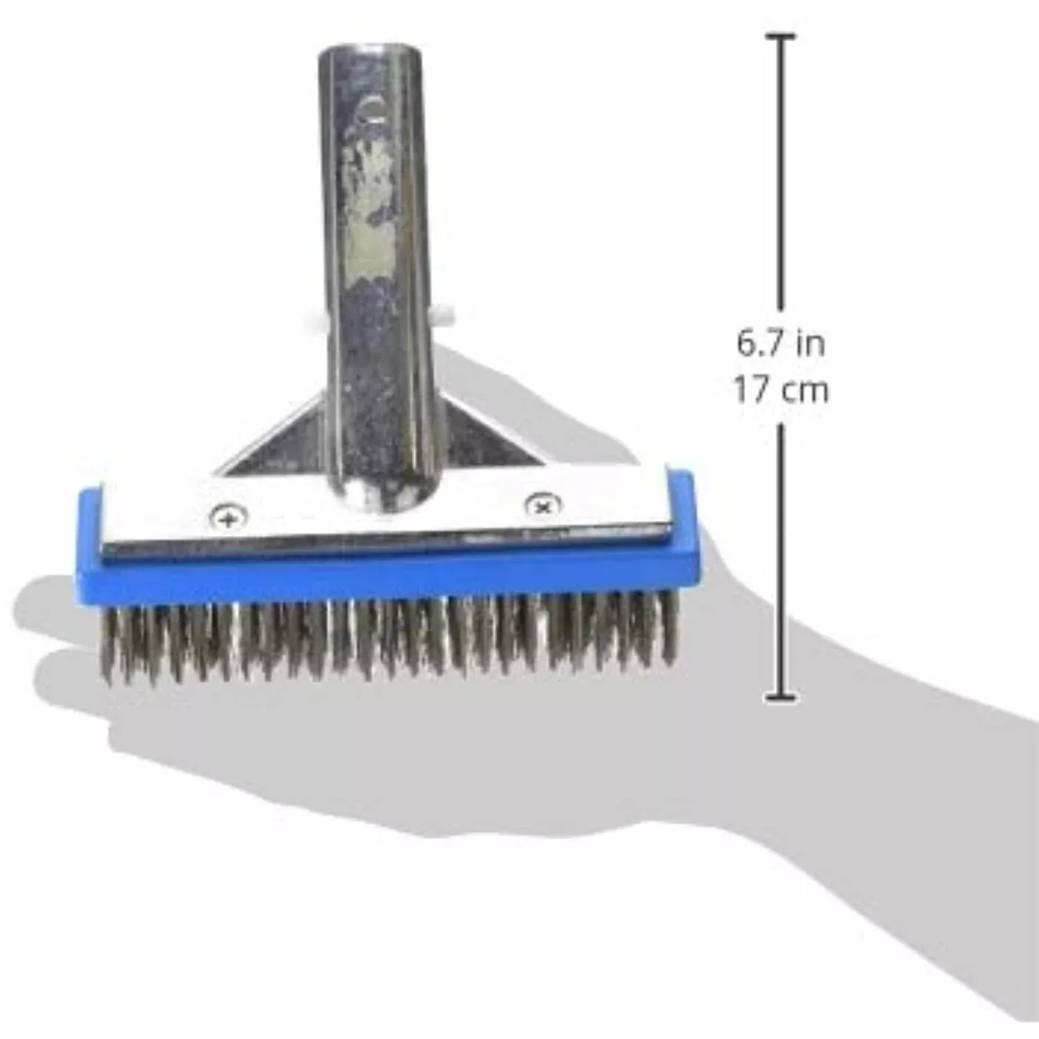 Pentair R111616 604A Back Aluminum Algae Brush with Stainless Steel Bristle, 6-Inch