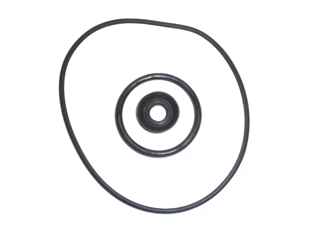 Pool Pump Internal O-Ring & Seal Set | Complete Gasket Kit
