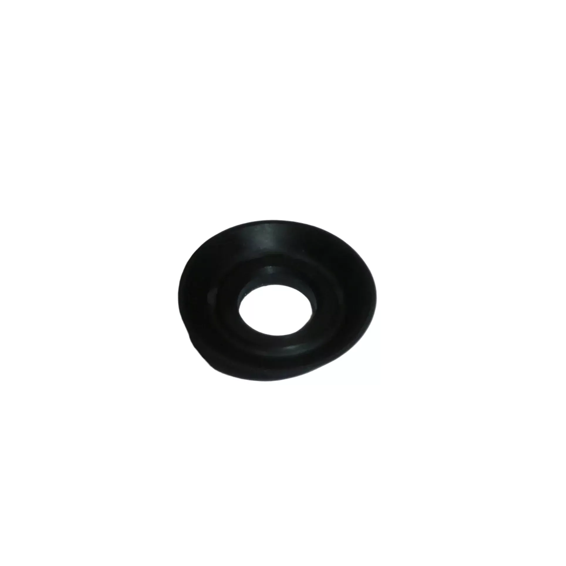 Pool Pump Shaft Seal Assembly | Large Motor Leak Prevention