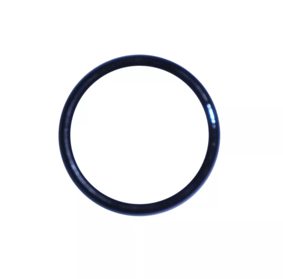 Pool Pump Strainer Housing O-Ring | Body Seal Gasket