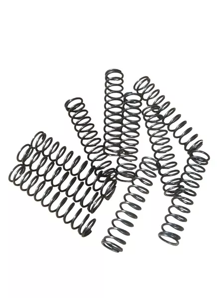 Professor Foam 10 pack Check Valve Springs compatible with 117490