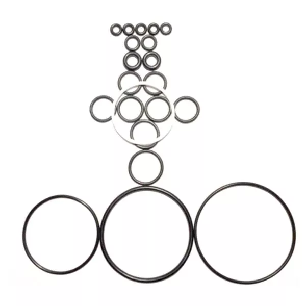Professor Foam Viton /FKM Commercial Mid-Grade O-ring Kit compatible for 246355