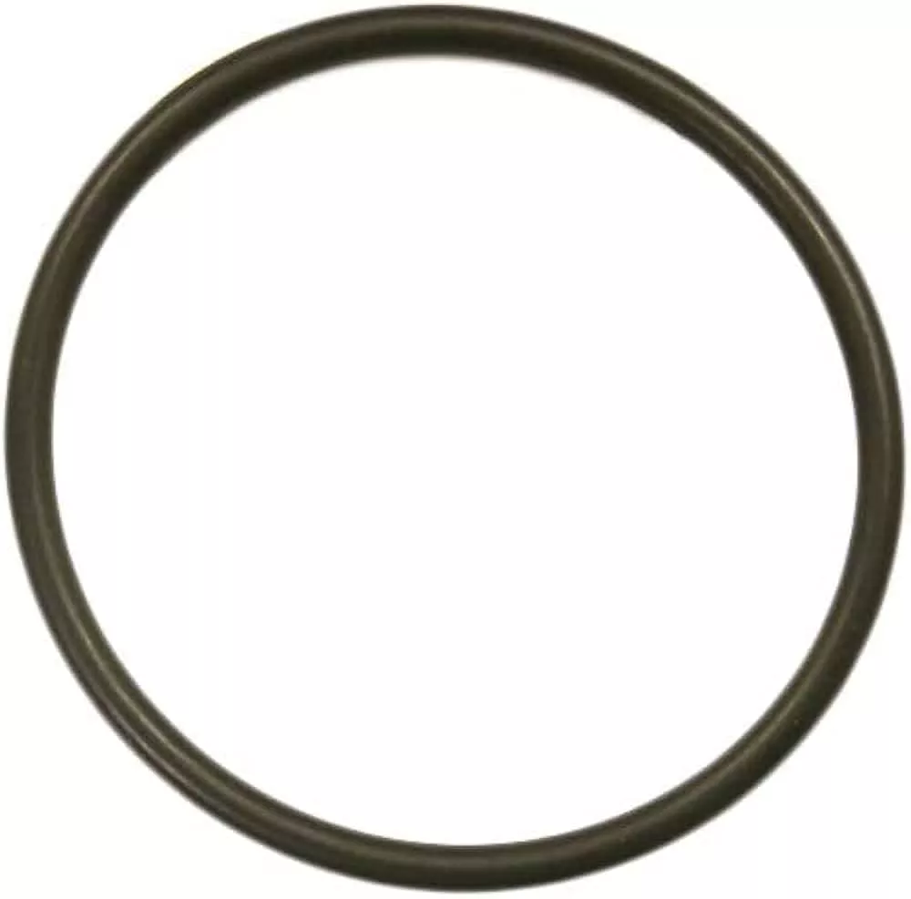PRX20007-Hayward O-Ring for Pro-Series Light