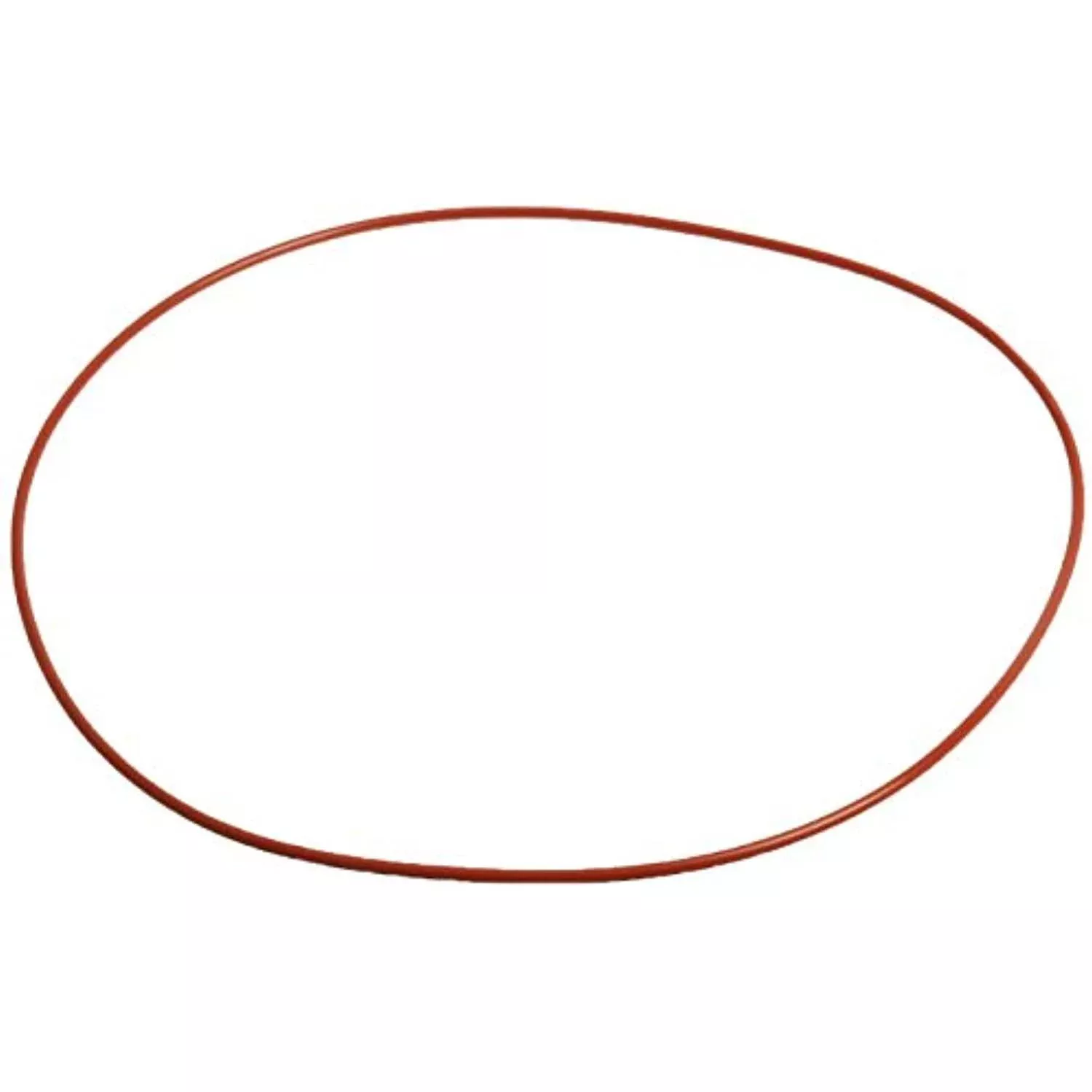 Raypack 006713F O-Ring Gasket 2/Pkg