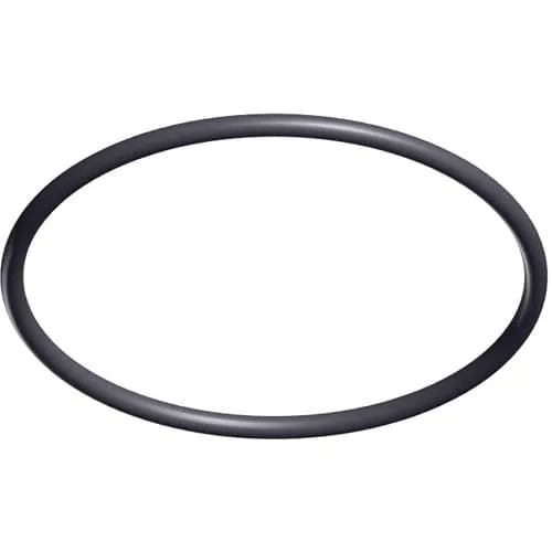 SPX3200S-Hayward Tri-star Pump Lid O-ring