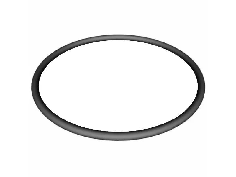 Sta Rite Waterford Sand Filter O Ring Valve Flange (A/G)