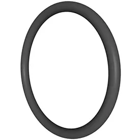 Swim Clear/Pro grid Bulkhead O-ring