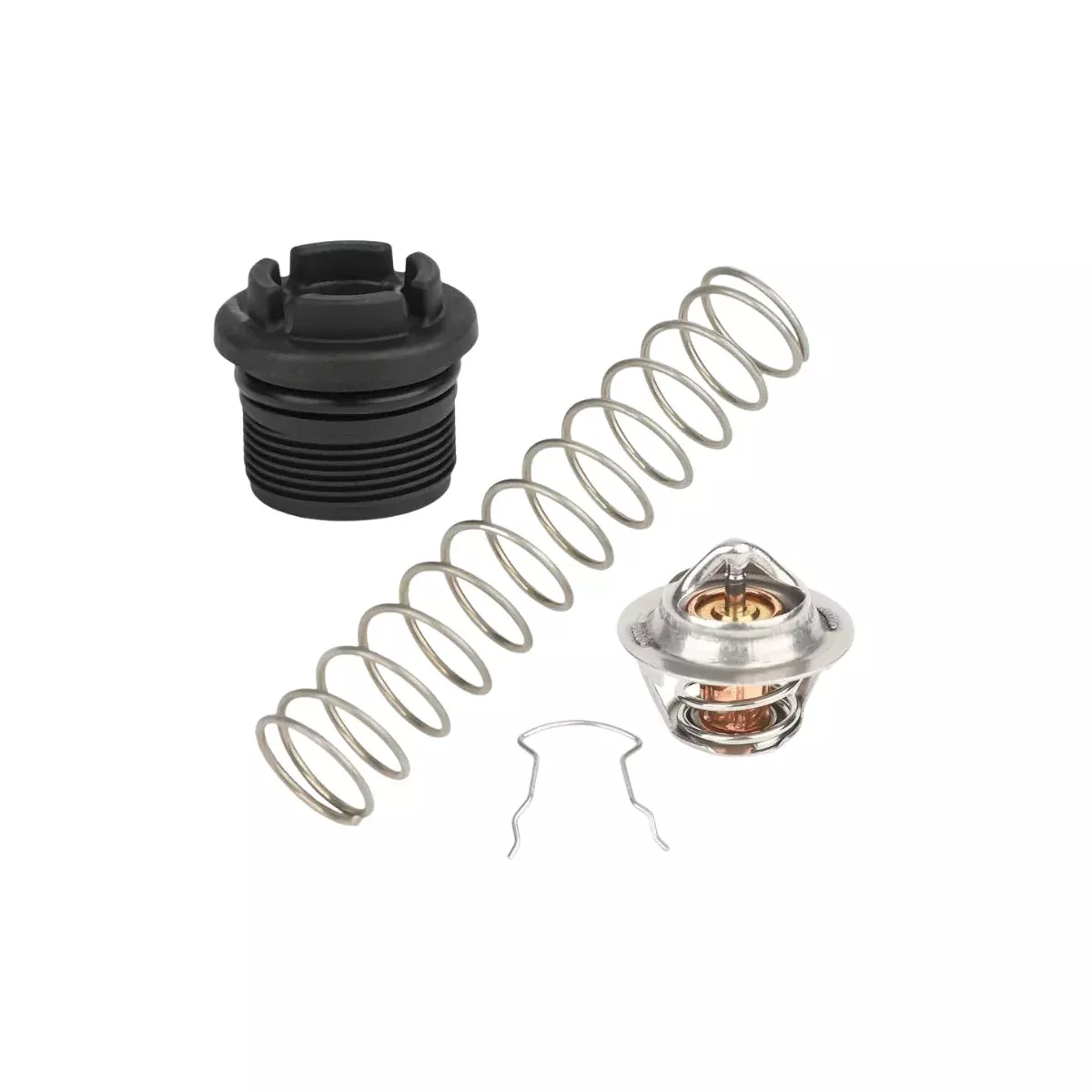 Thermal Regulator Kit for Max-E-Therm and MasterTemp Heater Water System