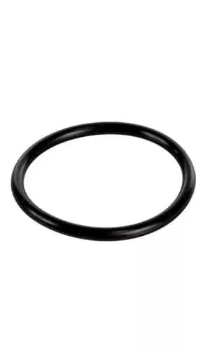 U9-374-Sta Rite Diffuser O-Ring