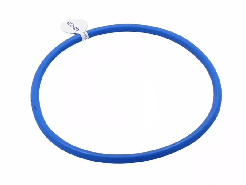 U9229-Sta-Rite Dura-Glas/Max-E-Glas Pump Gasket