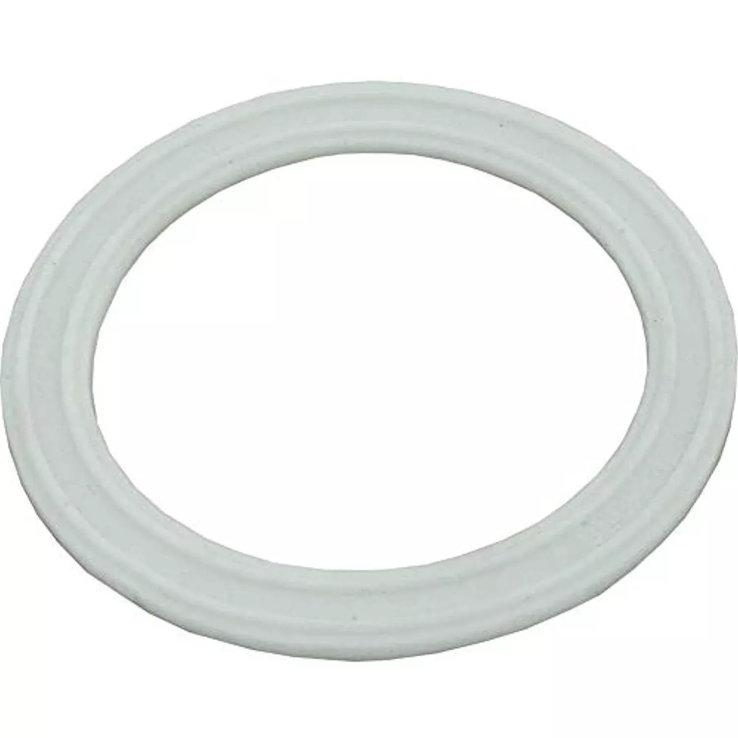 Waterway Plastics 806105124654 Light Lens Gasket