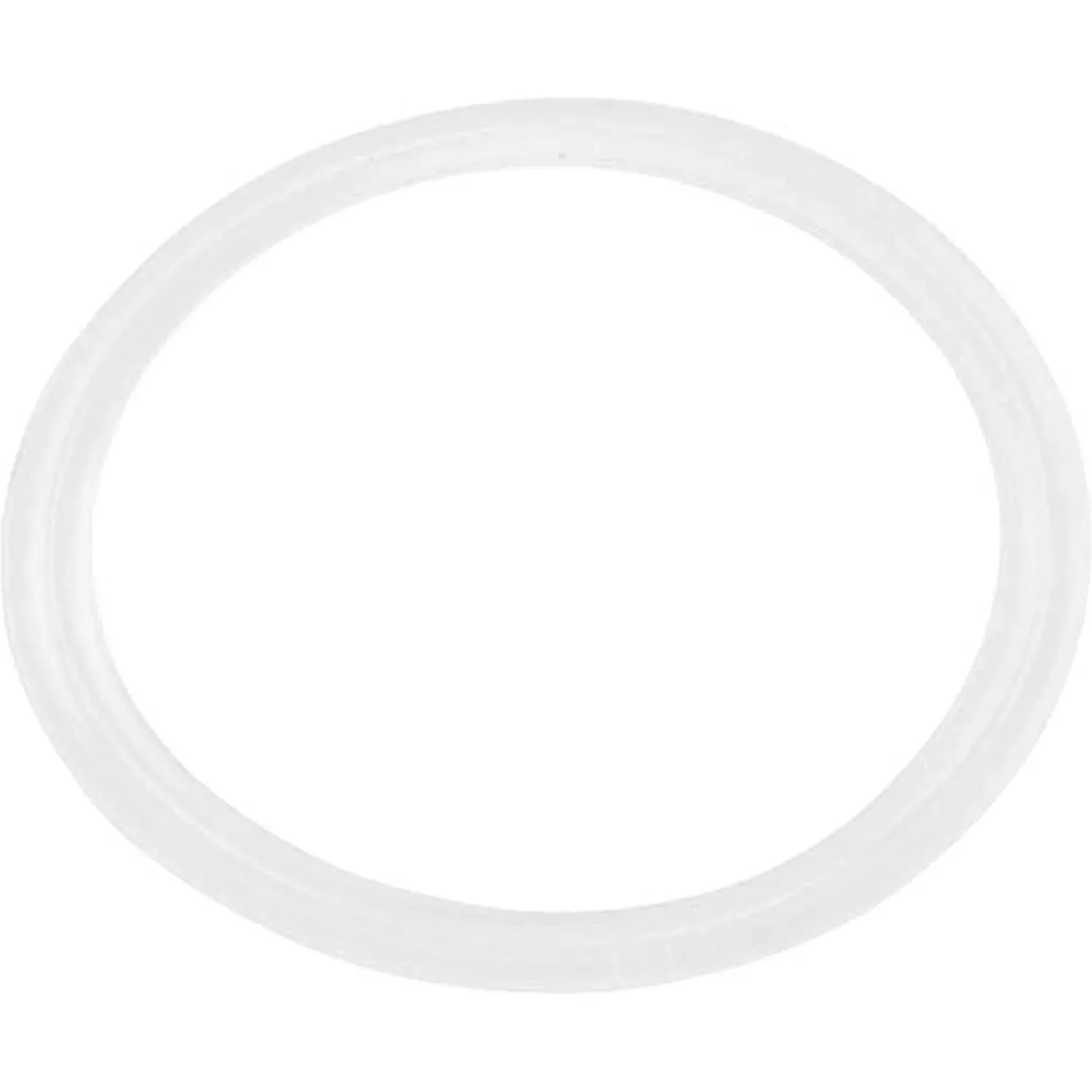 Waterway Plastics Flat Gasket, 1" Diverter Valve