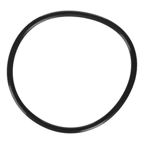 Zodiac/Jandy Lid O-Ring – For FloPro Pumps | R0480200