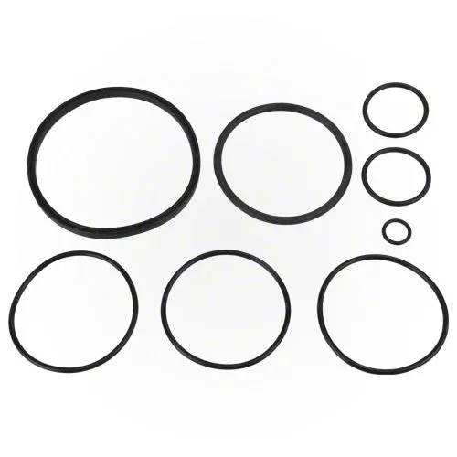 Zodiac Nature 2 Fusion O-Ring Kit R0502500