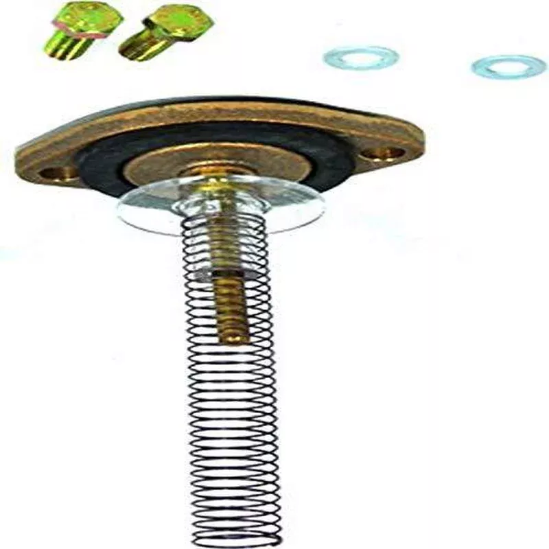 Zodiac R0452805 By Pass Valve Assembly with Spring Replacement for Zodiac Jandy Lite2 LJ400 Heater Water System