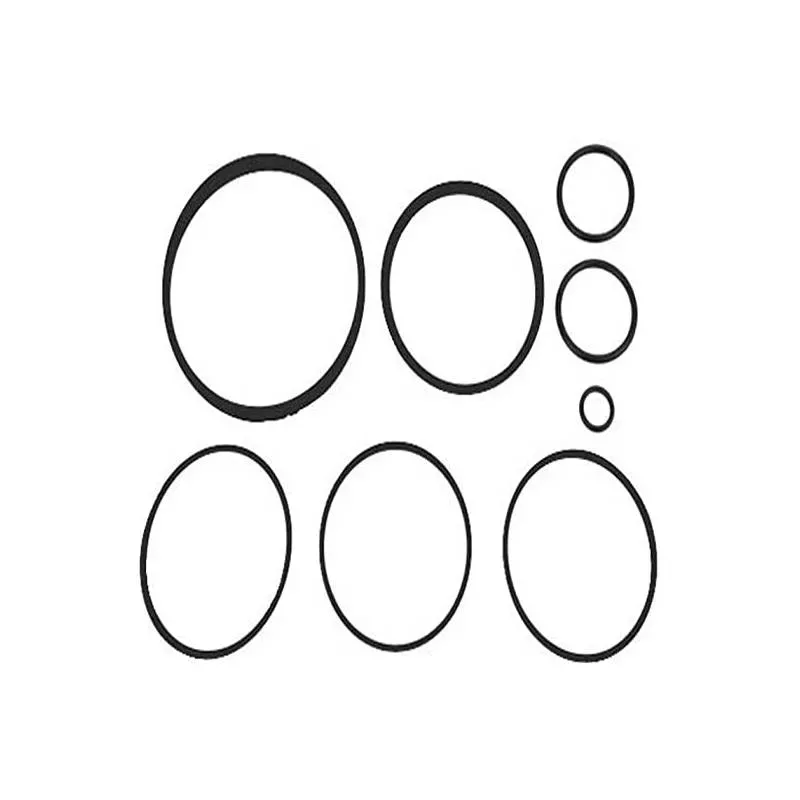 Zodiac R0502500 Fusion O-Ring Kit